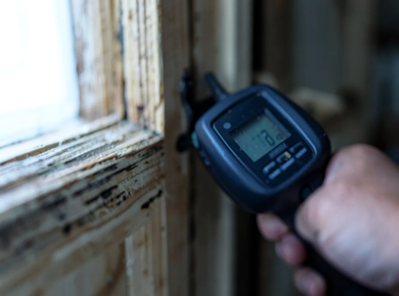 Moisture Inspection And Documentation in Vanleer, TN